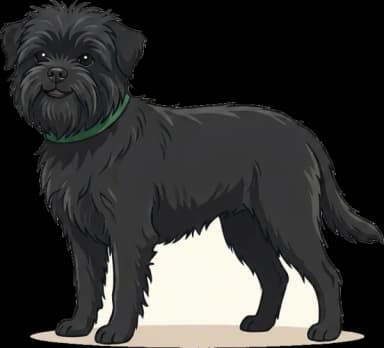 Hundefutter Affenpinscher: Hochenergie