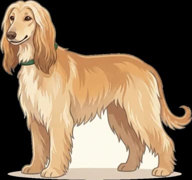 Hundefutter Afghanischer Windhund: Fellglanz