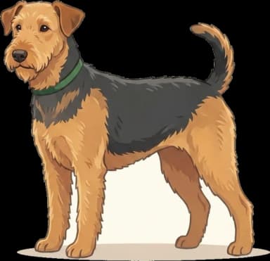 Hundefutter Airedale Terrier: Ausdauer