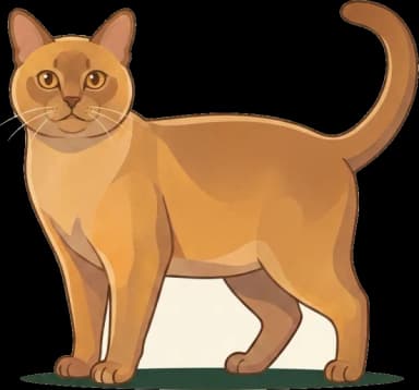 Katzenfutter American Burmese: Taurin