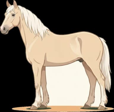 Pferdefutter American Cream Draft Horse