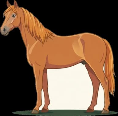 Pferdefutter American Saddlebred: Show