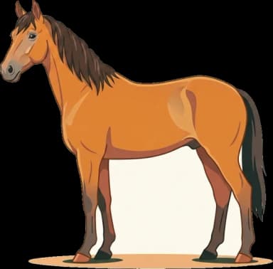 Pferdefutter American Standardbred: Magen