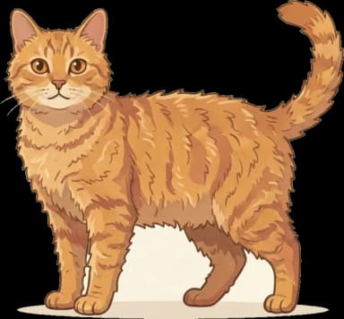 Katzenfutter American Wirehair: Taurin