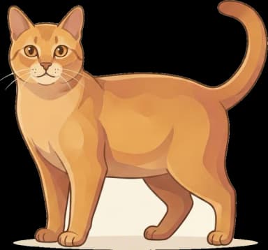 Katzenfutter für Anatoli: Altersgerecht