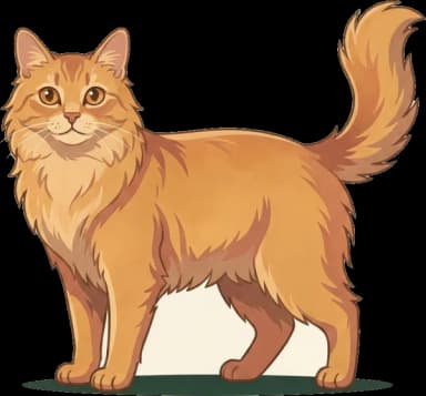Katzenfutter für Angorakatze: Herzgesundheit