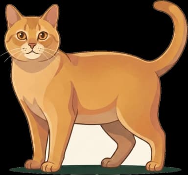 Katzenfutter für Asian: Hypokaliämie