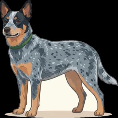 Hundefutter Australian Cattle Dog: Energie