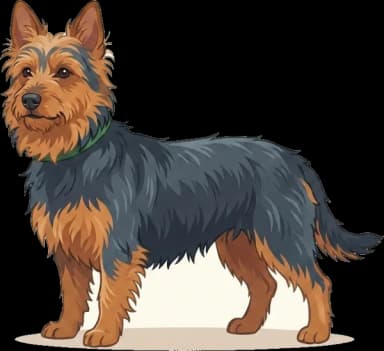 Hundefutter Australian Terrier · futter.de