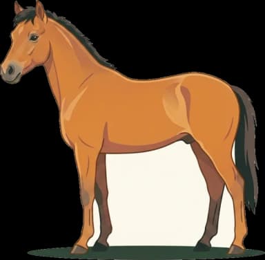 Pferdefutter Bali Pony: EMS-Prävention