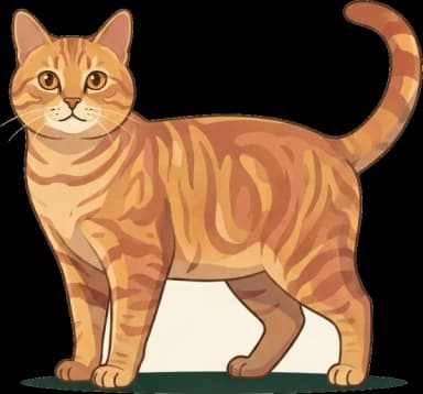 Katzenfutter für Bambino: Energie & Herz