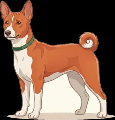 Hundefutter Basenji: Darmgesundheit · futter.de