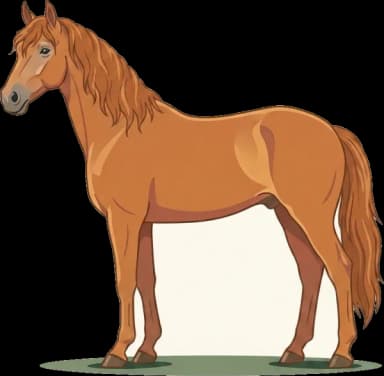 Pferdefutter Bayerisches Warmblut: Sportleistung