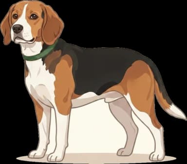 Hundefutter Beagle: Appetitkontrolle · futter.de