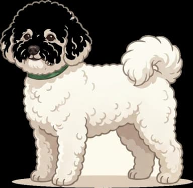 Hundefutter Bichon Frisé · futter.de
