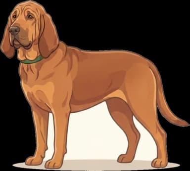 Hundefutter Bloodhound: Riesenrasse-Kraft