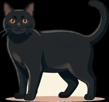 Katzenfutter Bombay: Burmesischer Stoffwechsel