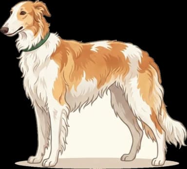 Hundefutter Borzoi: Stoffwechsel · futter.de