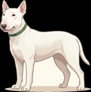 Hundefutter Bullterrier: Nierenschutz