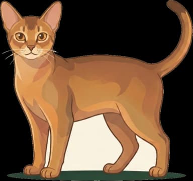 Katzenfutter Ceylon: Tierprotein-Landrasse