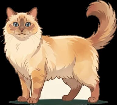Katzenfutter für Cherubim: Haarballenprävention