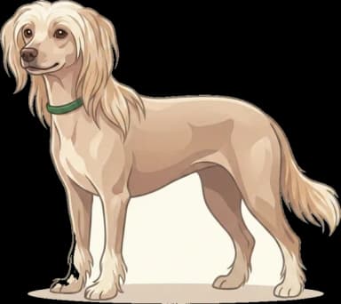Hundefutter Chinesischer Schopfhund: Haut