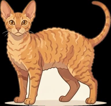 Katzenfutter Cornish Rex: Vitamin D