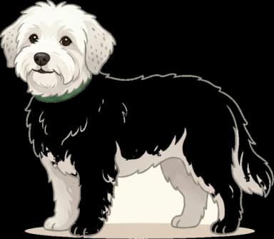 Hundefutter Coton de Tuléar: Nieren