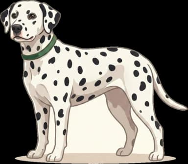 Hundefutter Dalmatiner: Purinarm