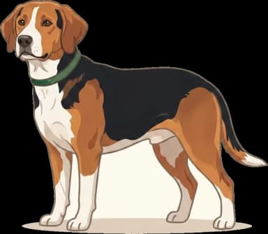 Hundefutter Finnischer Laufhund: Ausdauer