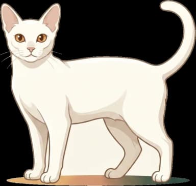 Katzenfutter für Foreign White: Taurin