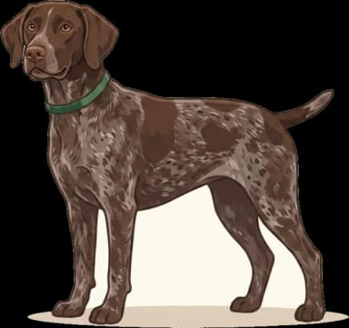 Hundefutter Deutsch Kurzhaar: Magenschutz