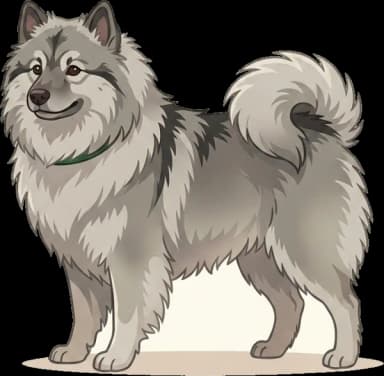 Hundefutter Deutscher Spitz: Fell