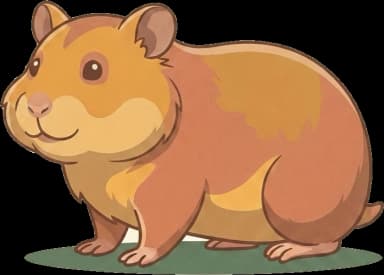 Goldhamsterfutter: Körner & tierisches Eiweiß