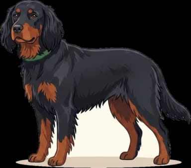 Hundefutter Gordon Setter: Kalzium