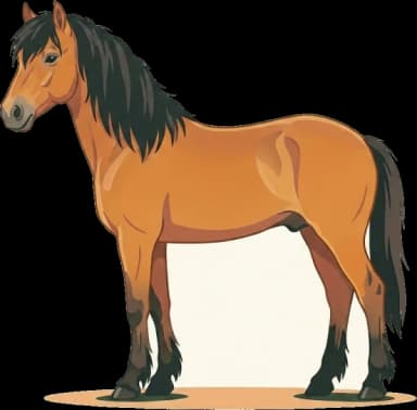 Pferdefutter Gotland-Pony: Stoffwechsel-Sensibilität