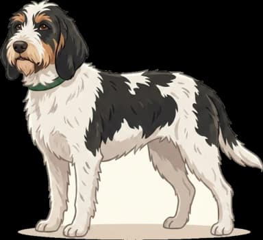 Hundefutter Grand Basset Griffon: Muskelschutz