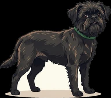 Hundefutter Griffon Belge · futter.de