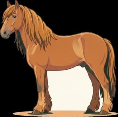 Pferdefutter Irish Cob: Gewicht