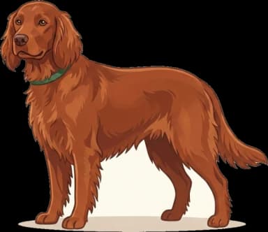 Hundefutter Irish Red Setter: Jagdleistung