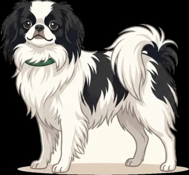 Hundefutter Japan Chin: Brachycephal