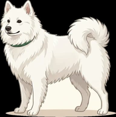Hundefutter Japan-Spitz: Energiedichte