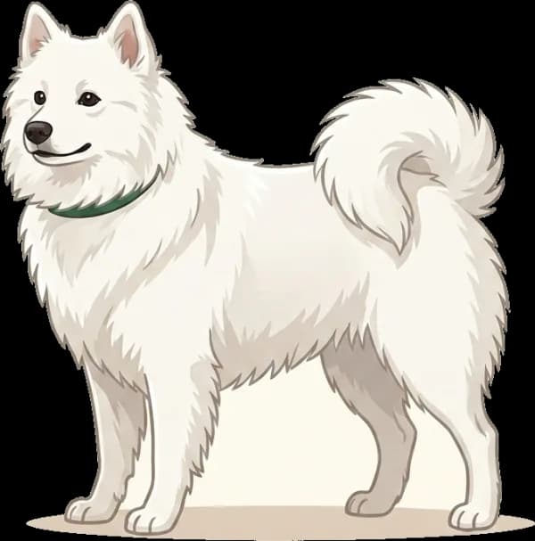 Illustration: Hundefutter Japan-Spitz: Energiedichte