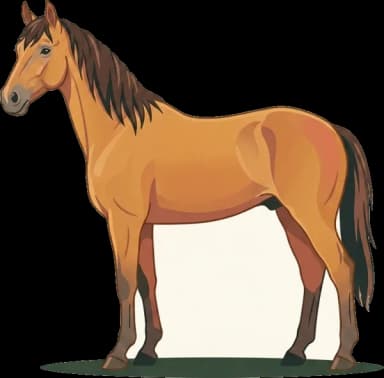 Pferdefutter Kiger Mustang: Stoffwechsel