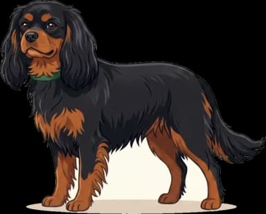 Hundefutter King Charles Spaniel: Gewicht