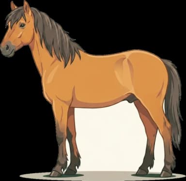 Pferdefutter Konik: EMS