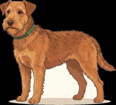 Hundefutter Lakeland Terrier: Hochenergie