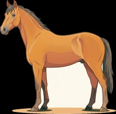 Pferdefutter Lehmkuhlener Pony: Hufrehe