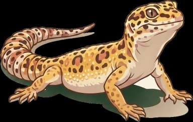 Leopardgeckofutter: Reine Insektenkost & Calcium