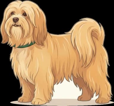 Hundefutter Lhasa Apso: Nierenschutz
